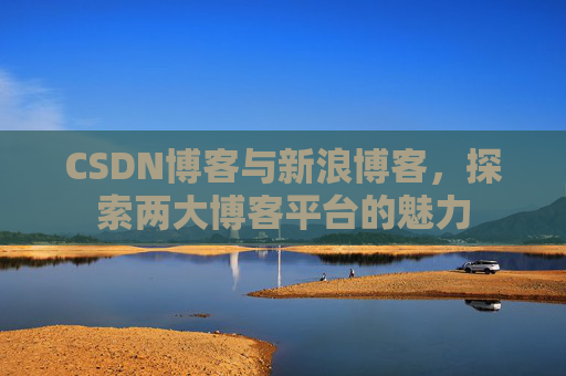 CSDN博客与新浪博客，探索两大博客平台的魅力