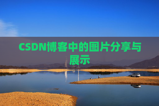 CSDN博客中的图片分享与展示